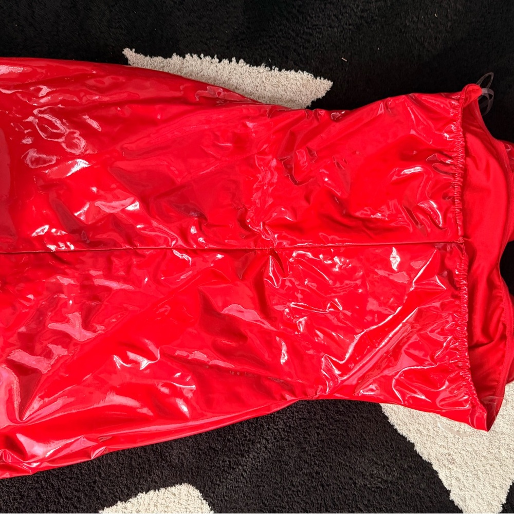 Taban Strapless Heart Leather Mini
Dress - Picture 5 of 5